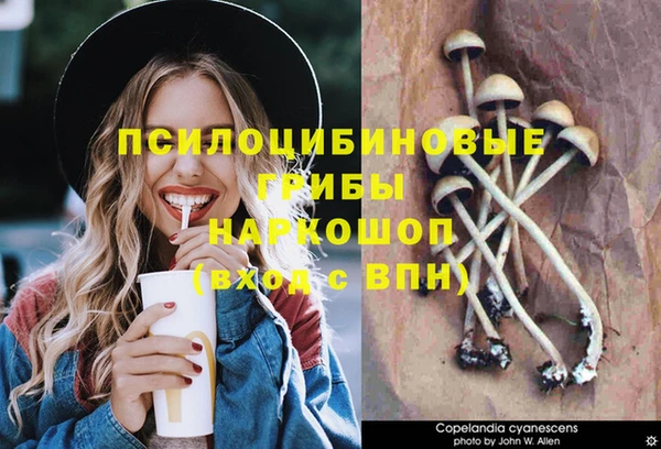 бошки Нефтекумск