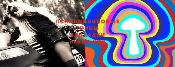 спайс Нея