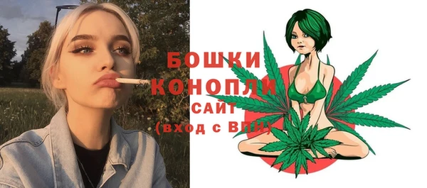 шишки Нефтегорск