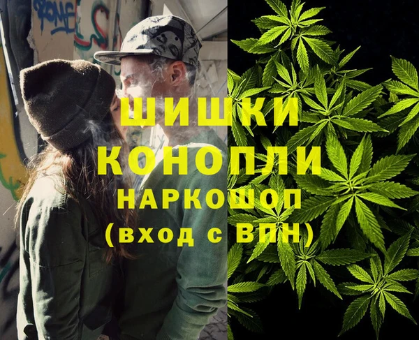 шишки Нефтегорск
