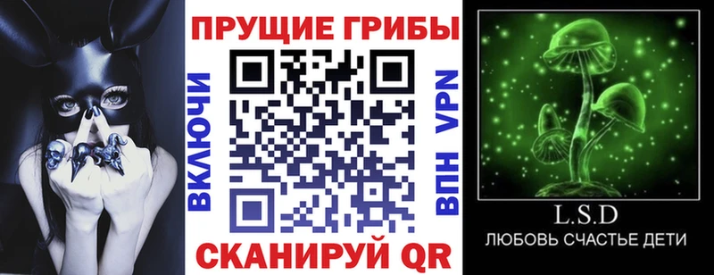 Псилоцибиновые грибы GOLDEN TEACHER  сколько стоит  Корсаков 