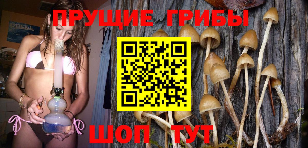 Галлюциногенные грибы Magic Shrooms  Вход с VPN  наркотики  Корсаков 