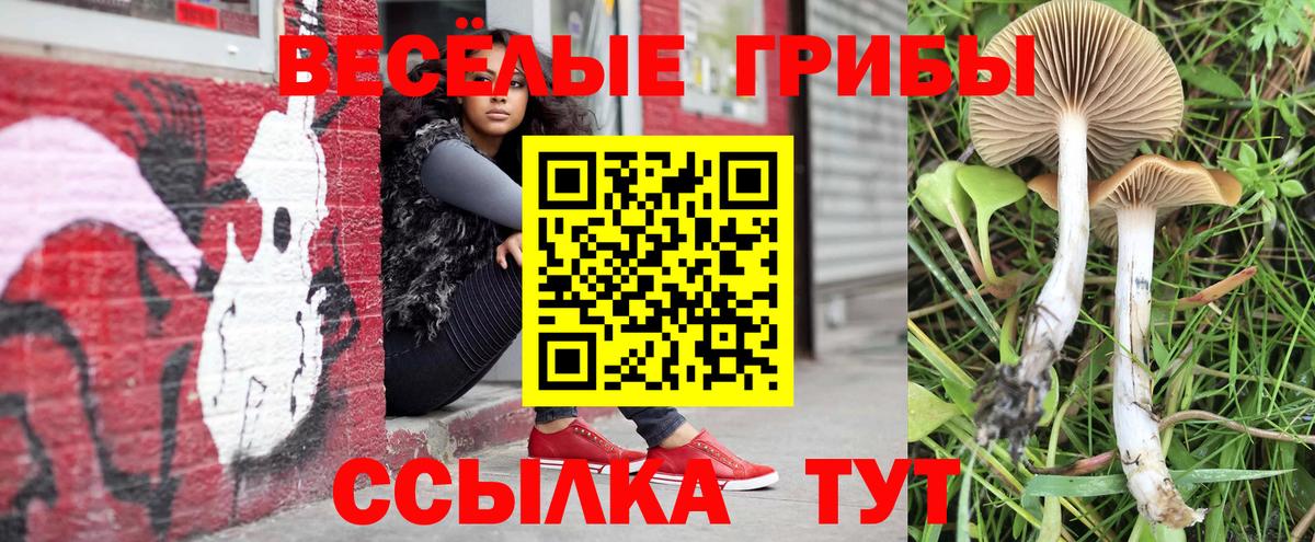 Псилоцибиновые грибы Psilocybine cubensis Корсаков